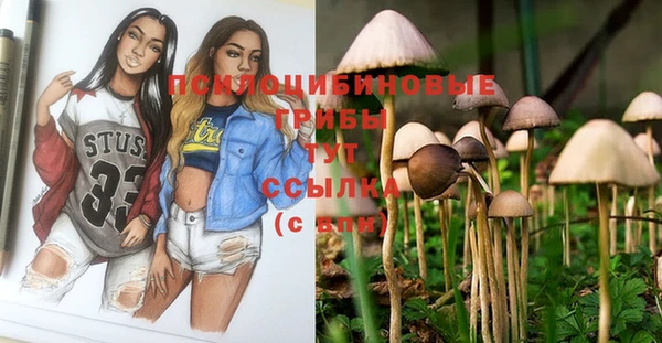 молекула духа Аркадак