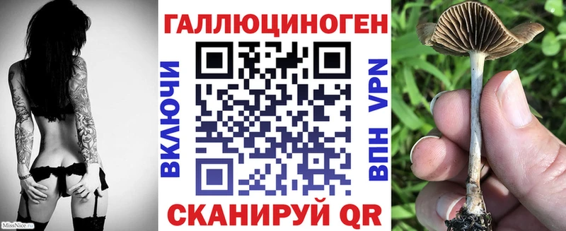 Галлюциногенные грибы Magic Shrooms  наркошоп  Рыльск 