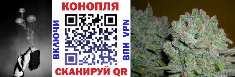 закладки  Рыльск  Канабис SATIVA & INDICA 